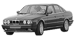 BMW E34 P0222 Fault Code